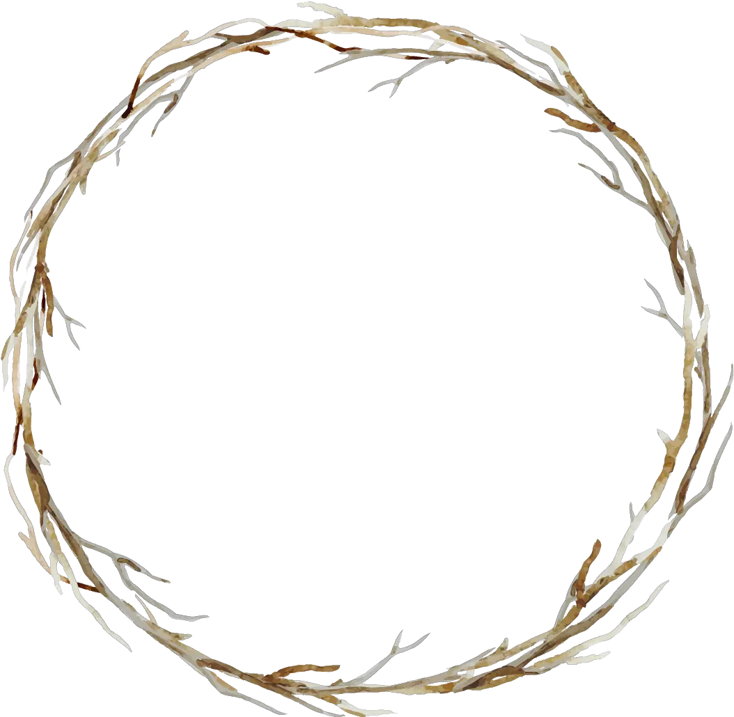 Branches Twigs Sticks Frame Border Wreath Background Transparent Background Wreath Frame Png png