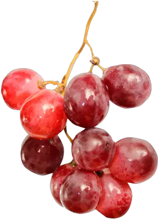 Red Grape New Harvest 24209 Transparentpng Red Grapes Grape Png Grapes Icon