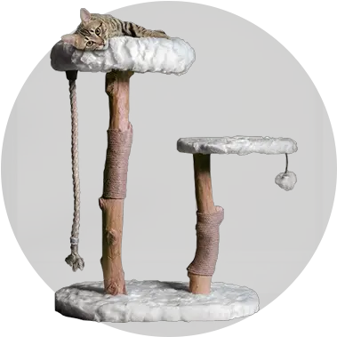 Chance To Win A Mau Rizzo Cat Tree Cat Tree Png Cat Paw Transparent