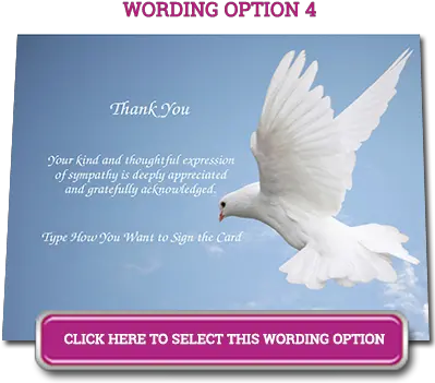 Browse Designs White Dove Flat Fill Me Up Holy Spirit Png White Dove Png