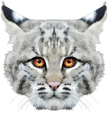 Tumblr Snow Leopard Png Bobcat Png