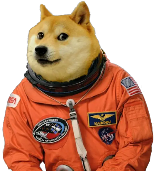 Very Dogestronaut Charles F Bolden Jr Png Doge Transparent