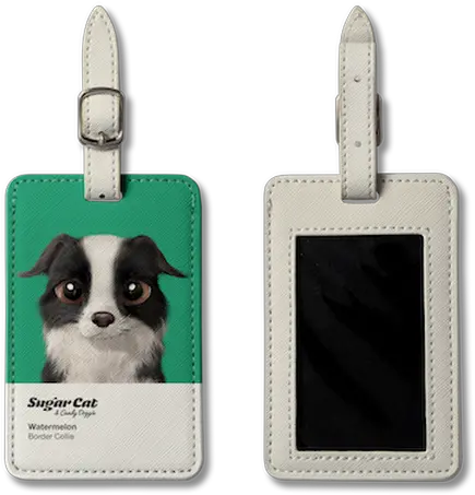 The Border Collie Border Collie Png Border Collie Png