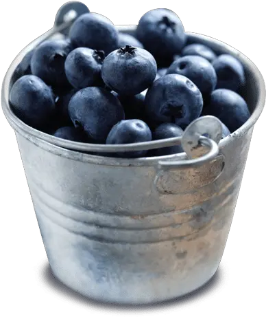 Bowl Of Blueberries Transparent Png Bucket Of Blueberries Png Blueberries Png