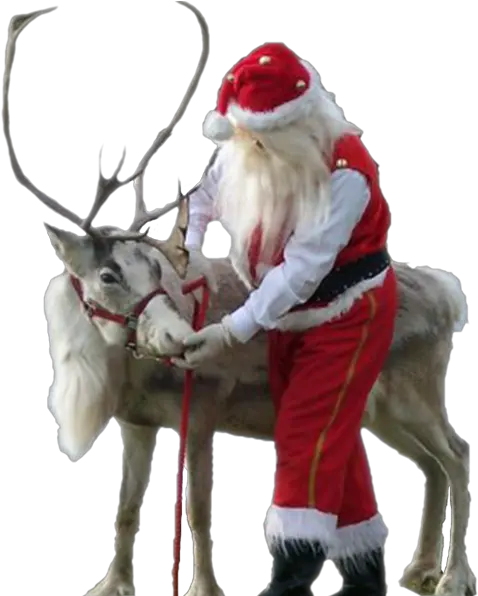 Download Hd The Best Christmas Santa Claus Png Santa And Reindeer Png