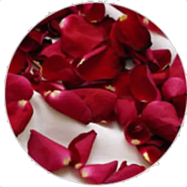 Rose Petals Bougainvillea Png Rose Petals Png