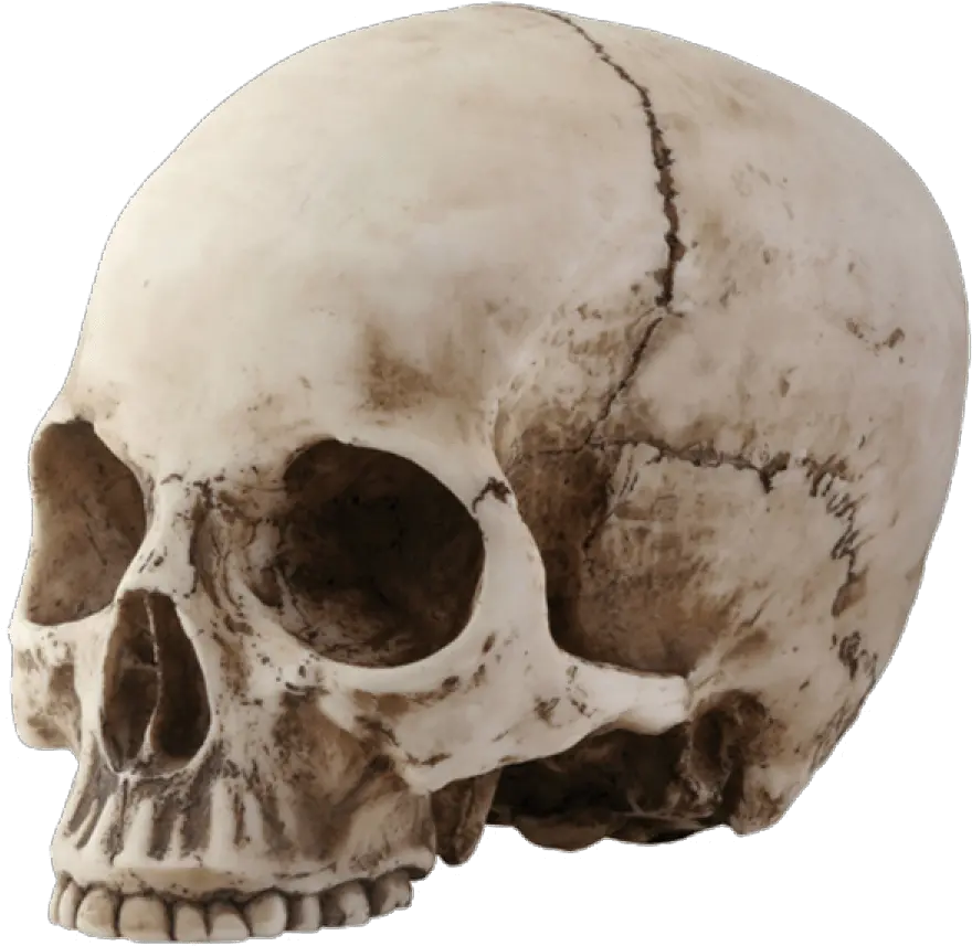 Skull Decal Png