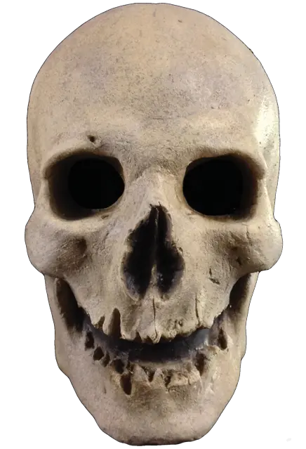 Skull Crossbones Png