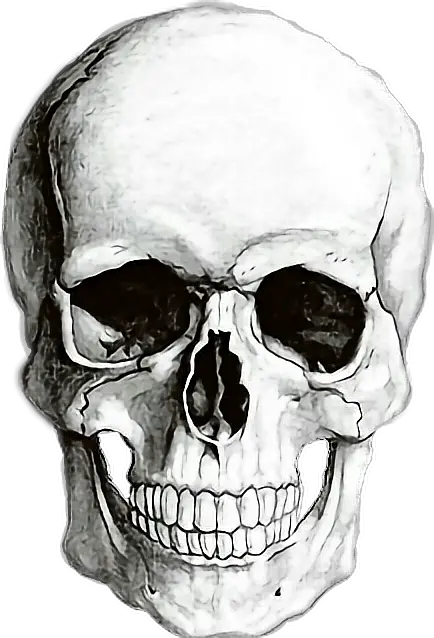 Skull Clip Art Png