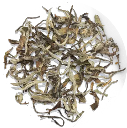 Download White Tea Leaves Chaisafari Scrap Png Tea Leaves Png