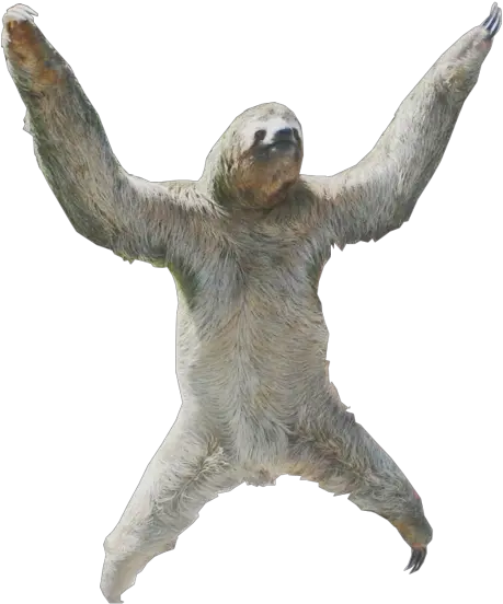 Sloth Png Transparent Sloth Png Sloth Png