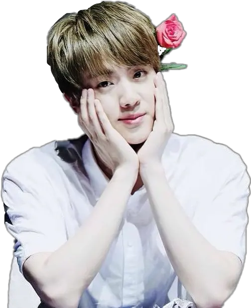 Download Report Abuse Jin As A Mom Png Jin Png