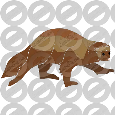 Wolverine Stencil For Classroom Therapy Use Great Grizzly Bear Png Wolverine Png