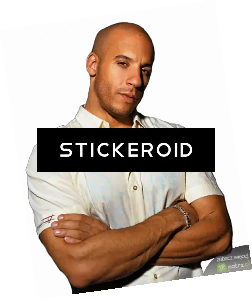 Download Vin Diesel Poster Png Vin Diesel Png