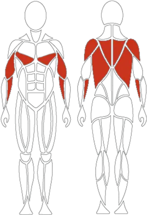 Muscle Man G420 Davidhealthcom Illustration Png Muscle Man Png