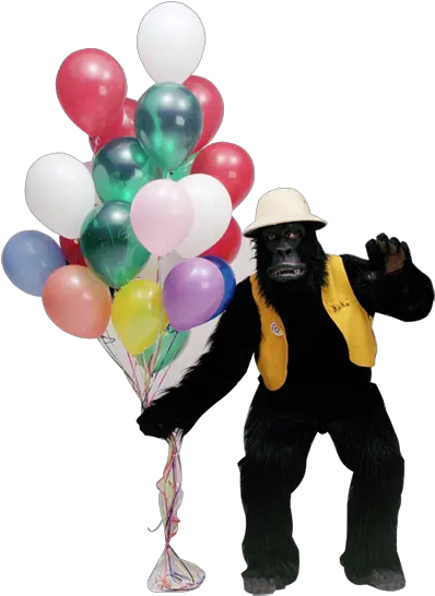 Balloon Magic Getaballoon Gorilla Gram Gorilla With A Balloon Png Up Balloons Png