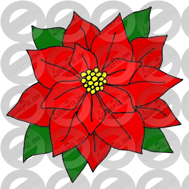 Lessonpix Mobile Poinsettia Png Poinsettia Png