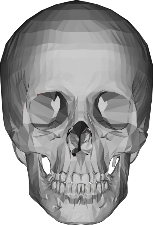 Grateful Dead Skull Png