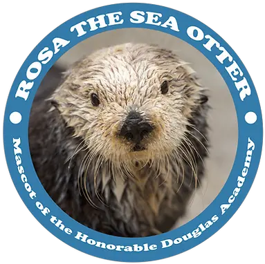Home Dougdoug Dougdoug Rosa Png Sea Otter Icon