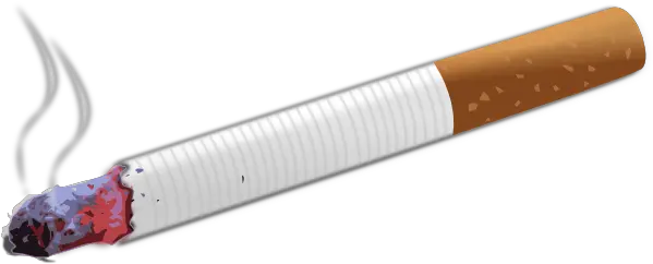 Burning Cigarette Clip Art Take Care Of Your Respiratory Png Lit Cigarette Png