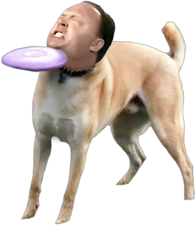 Fucking Globalists Alex Jones Know Y 706680 Png Dog Meme Png Memes Transparent Background