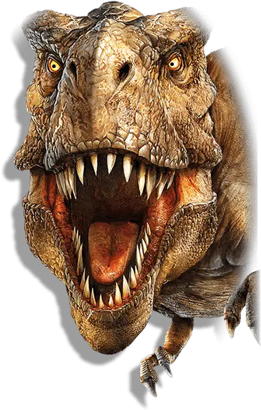 T Rex Head Png Transparent Headpng Images Pluspng Dinosaur Face Medical Mask Dinosaur Skull Png