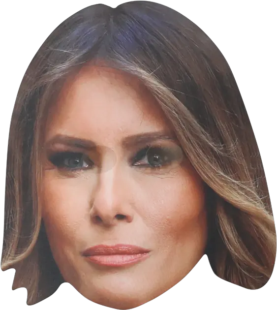 Download Donald Trump Hair Png Transparent Png Png Melania Trump Png Trump Png