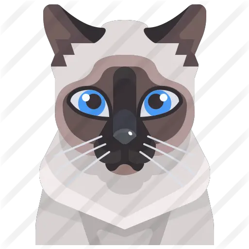 Cat Siamese Cat Icon Png Kitty Icon