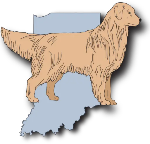 Wrgrc White River Golden Retriever Club Golden Retriever Png Golden Retriever Png