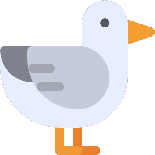 Free Icon Empty Png Seagull Icon