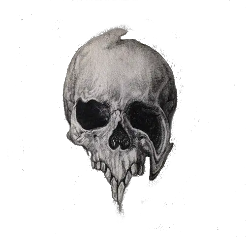 Boho Skull Png