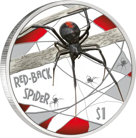 Spiders Numismatics Of Png Transparent Spiders