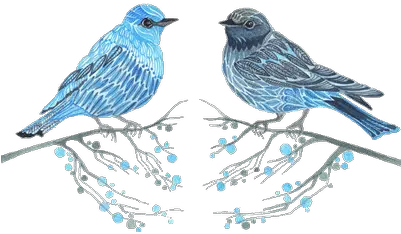 Vintage Bird Sketch Transparent Png Blue
