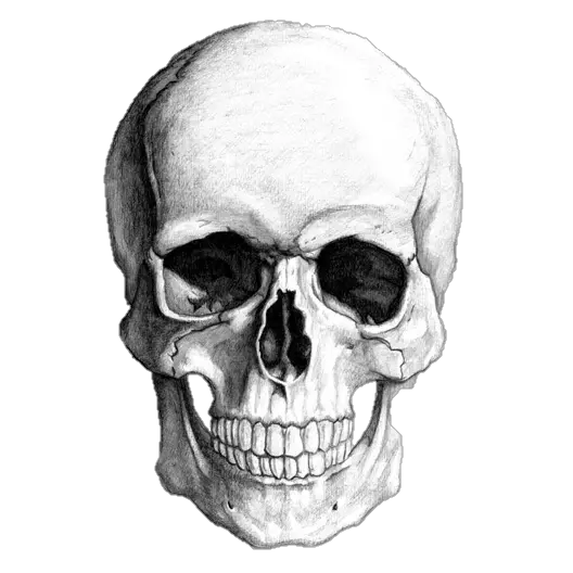 Alien Skull Png