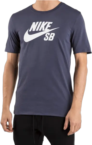 Download Nike Sb Logo T Shirt Shirts Shrimp Png Tee futura Icon