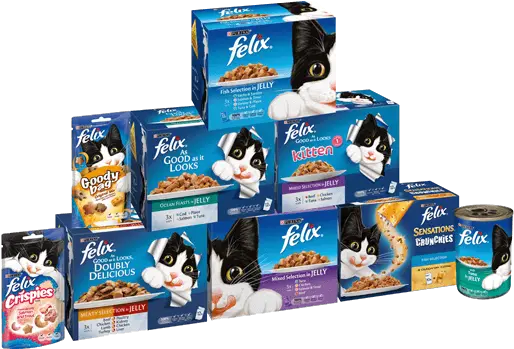 Delicious Meals For Mischievous Cats Cartoon Png Felix The Cat Png