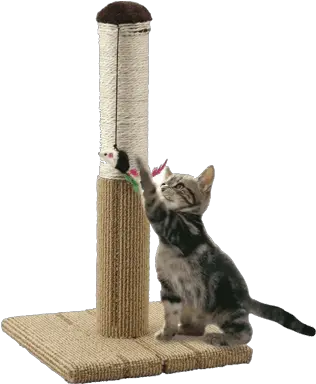 Cat Scratching Post Conbini Japan Your Japanese Online Store Cat Scratch Tower Png Scratch Cat Png