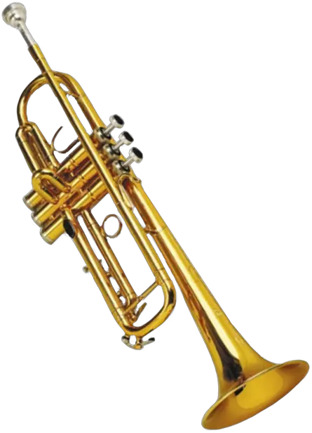 Download Tumblr Aesthetic Trend Idk Fiesta Moodboard Types Of Trombone Png Trumpet Transparent Background