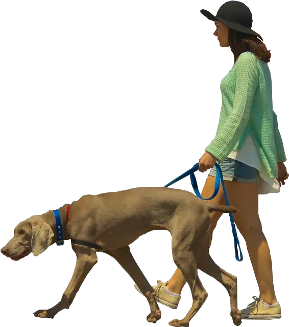 Dog Walking Architectural Rendering Dog Png Download 571 Architecture People Walking Png People Walking Dog Png