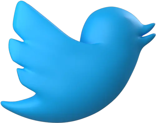 Social Media Twitter Logo Tweet Bird Animal Network Png Icon