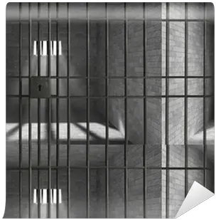 Jail Bars Wallpaper Pixers Mesh Png Transparent Jail Bars