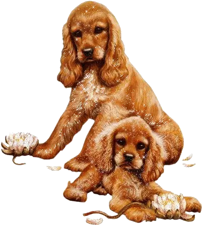 Glitteres Állatok Puppy Art Cute Dogs Dog Gifs Dog Png Transparent Dog Gif