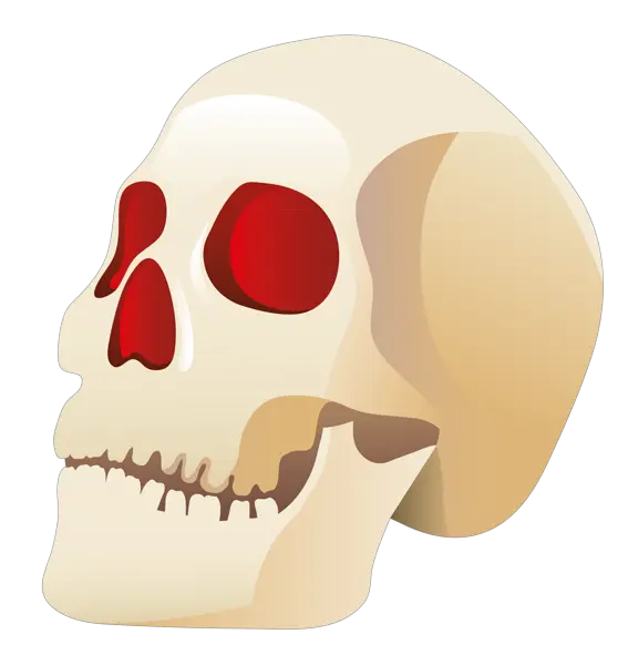 Skull Png