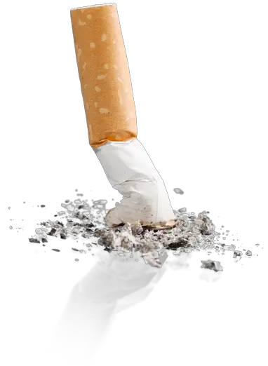 Cigarette Butt Transparent Background Cigarette Png Butt Png