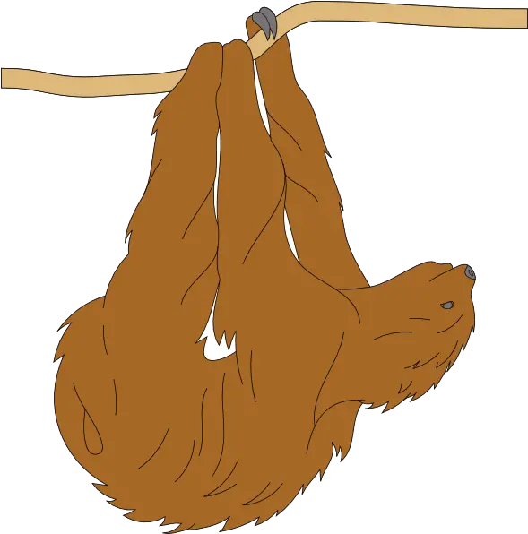 Hanging Sloth Clip Art Vector Clip Art Online Clip Art Png Sloth Png