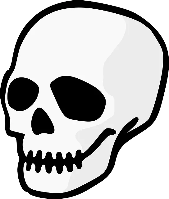 Skull Gif Png