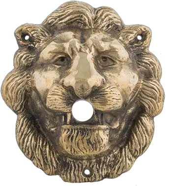 6 12u2033 Lionu0027s Head U2013 234u2033 Projection U2013 Standard Bronze Masai Lion Png Lion Head Transparent