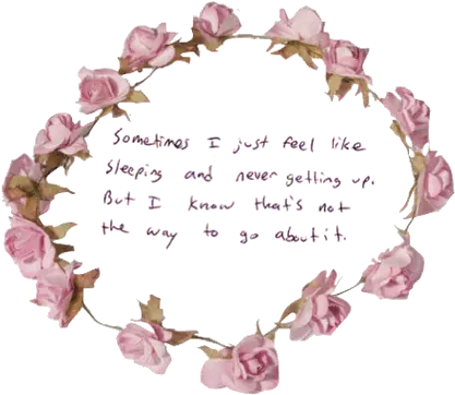 No Background Flowers Images Without Background Png Transparent Background Tumblr png