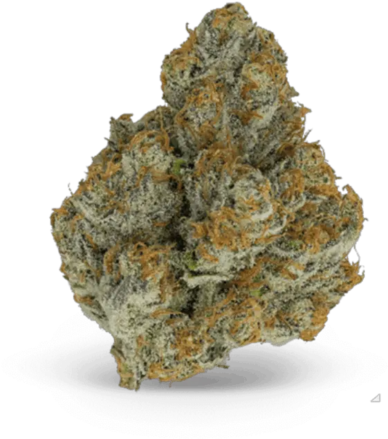 Medical Marijuana Home Get Baku0027d Okc Edmond Oklahoma Weed Nug Transparent Background Png Weed Transparent Background