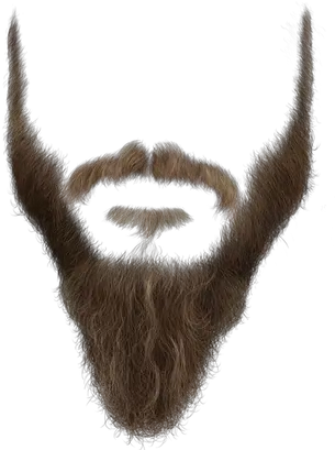 Download Long Beard Png Beard Booth Png Png Image With No Sketch Beard Transparent Background